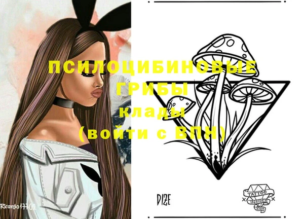 дживик Шадринск