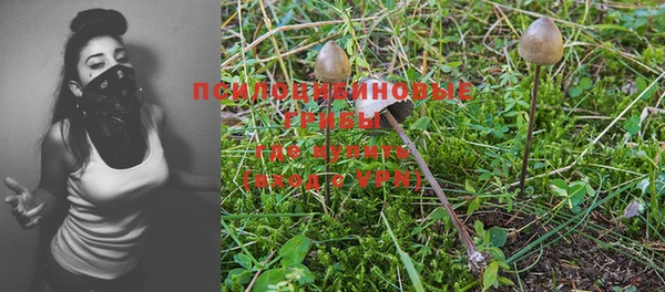 ALPHA-PVP Щучье